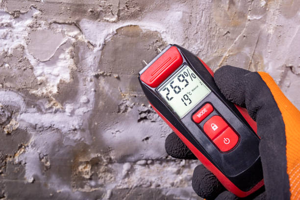 Best Mold Removal Near Me  in Rockville, CT