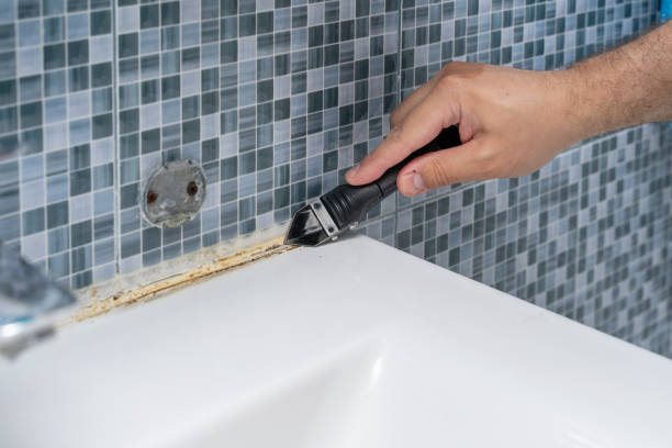 Best Commercial Mold Removal  in Rockville, CT